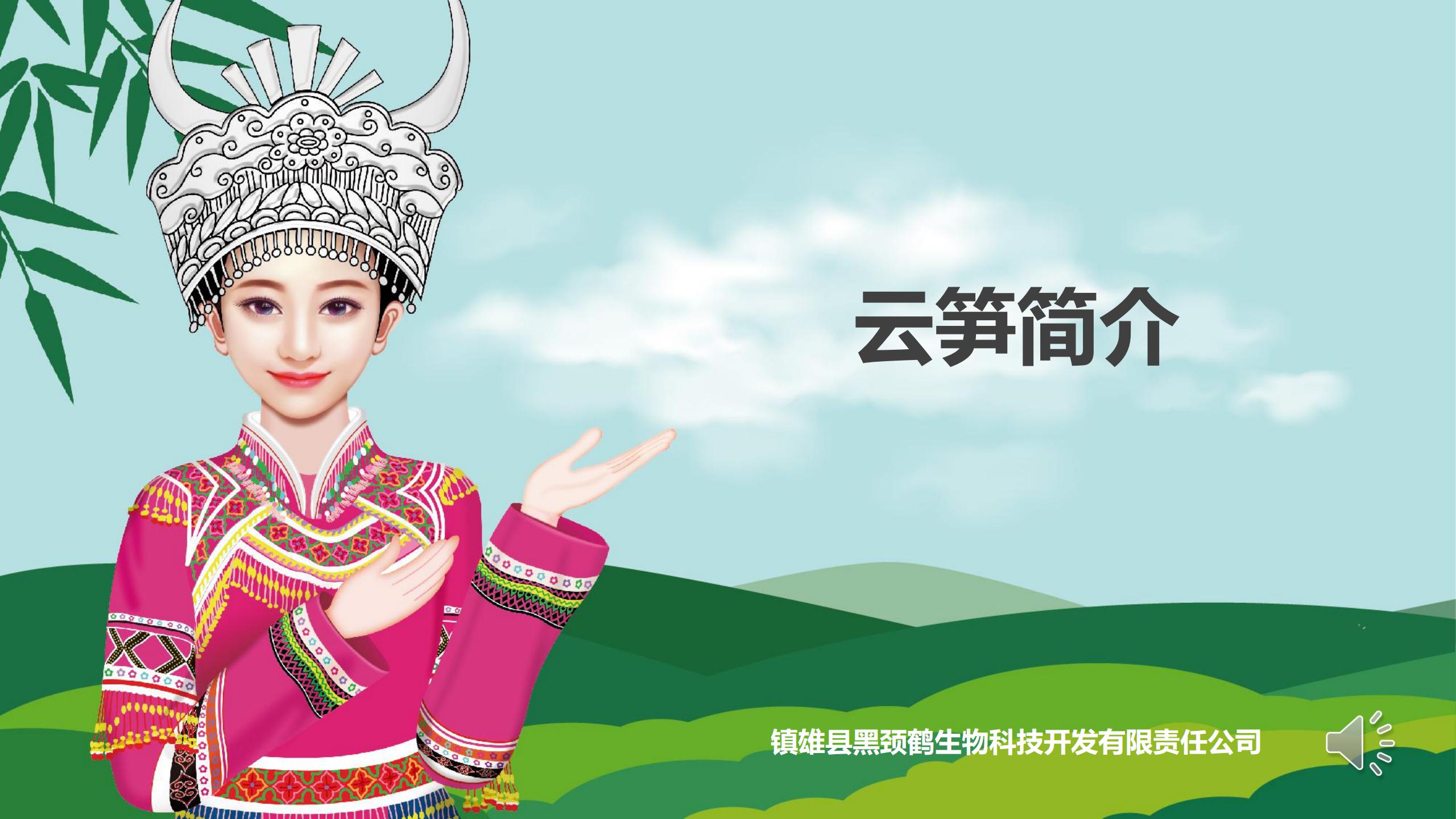 云笋简介20210811_00