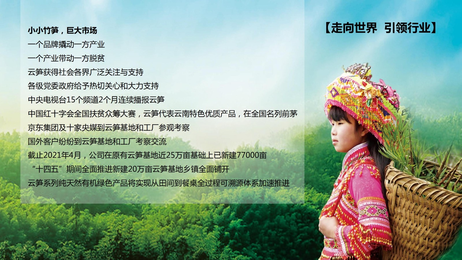 云笋简介20210811_02