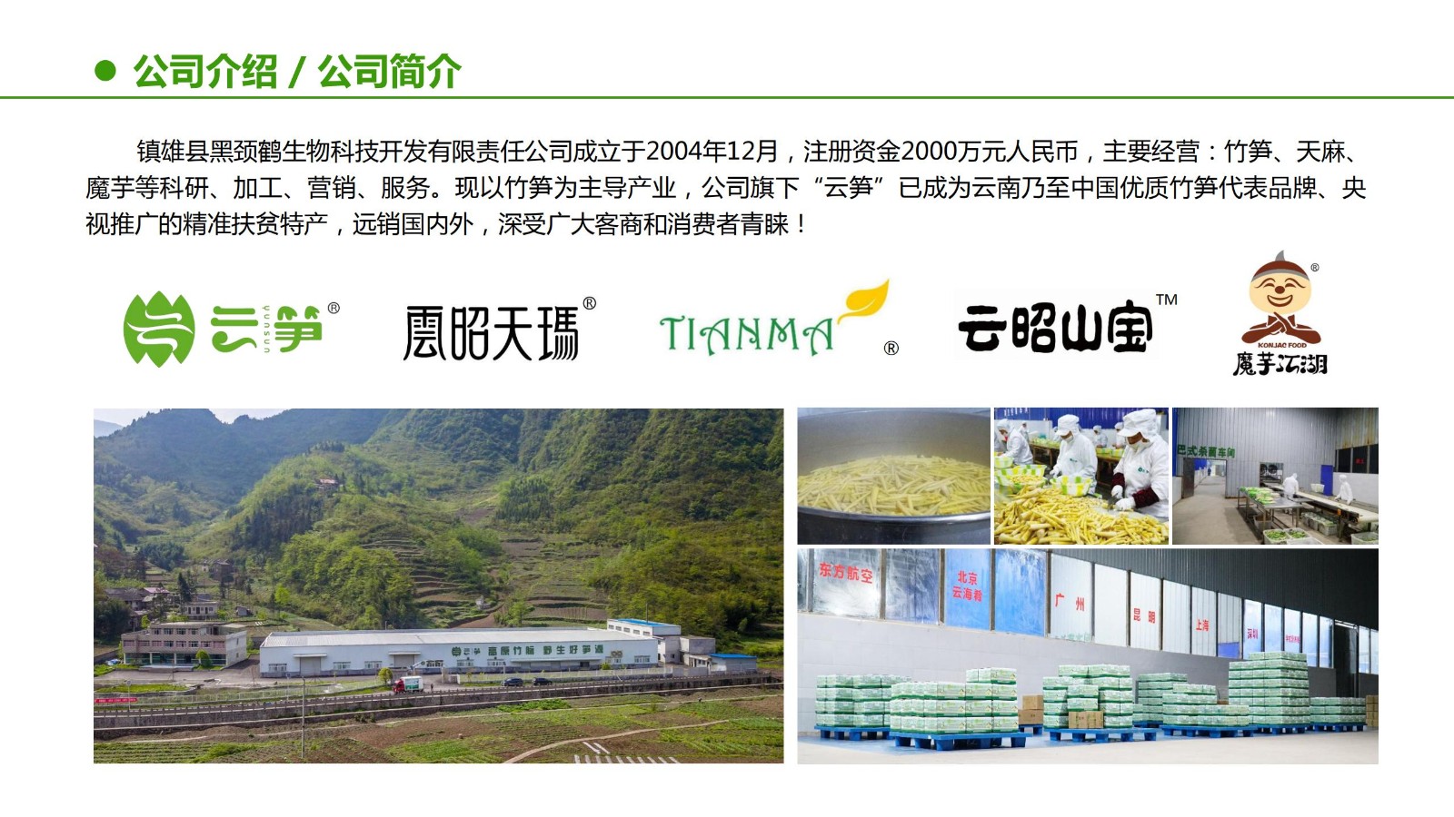 云笋简介20210811_04