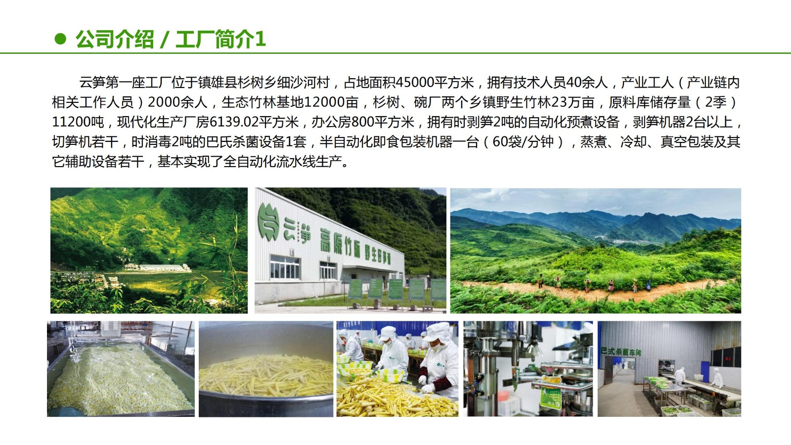 云笋简介20210811_05