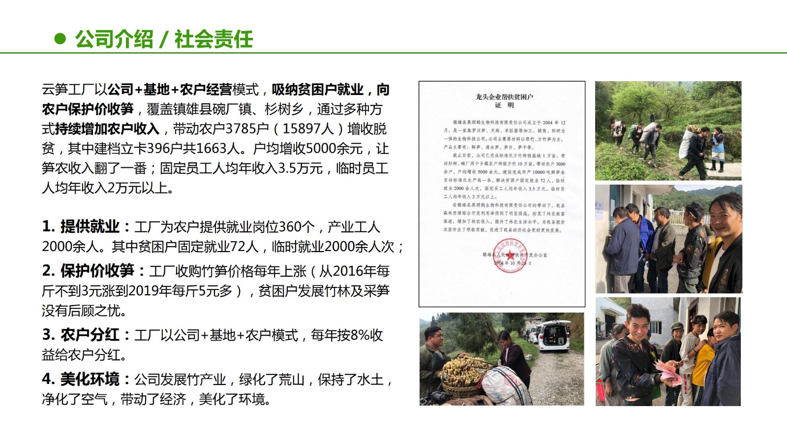 云笋简介20210811_09