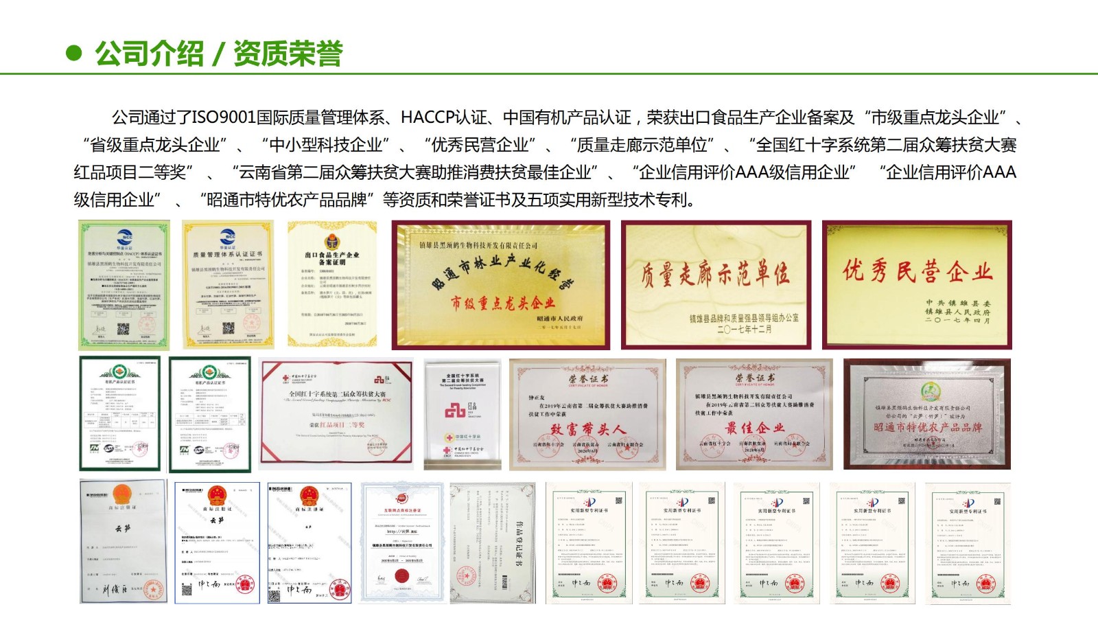 云笋简介20210811_10