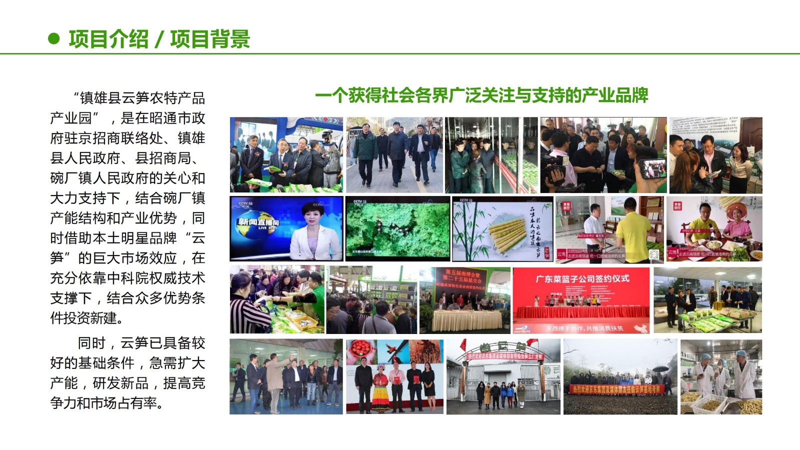 云笋简介20210811_12