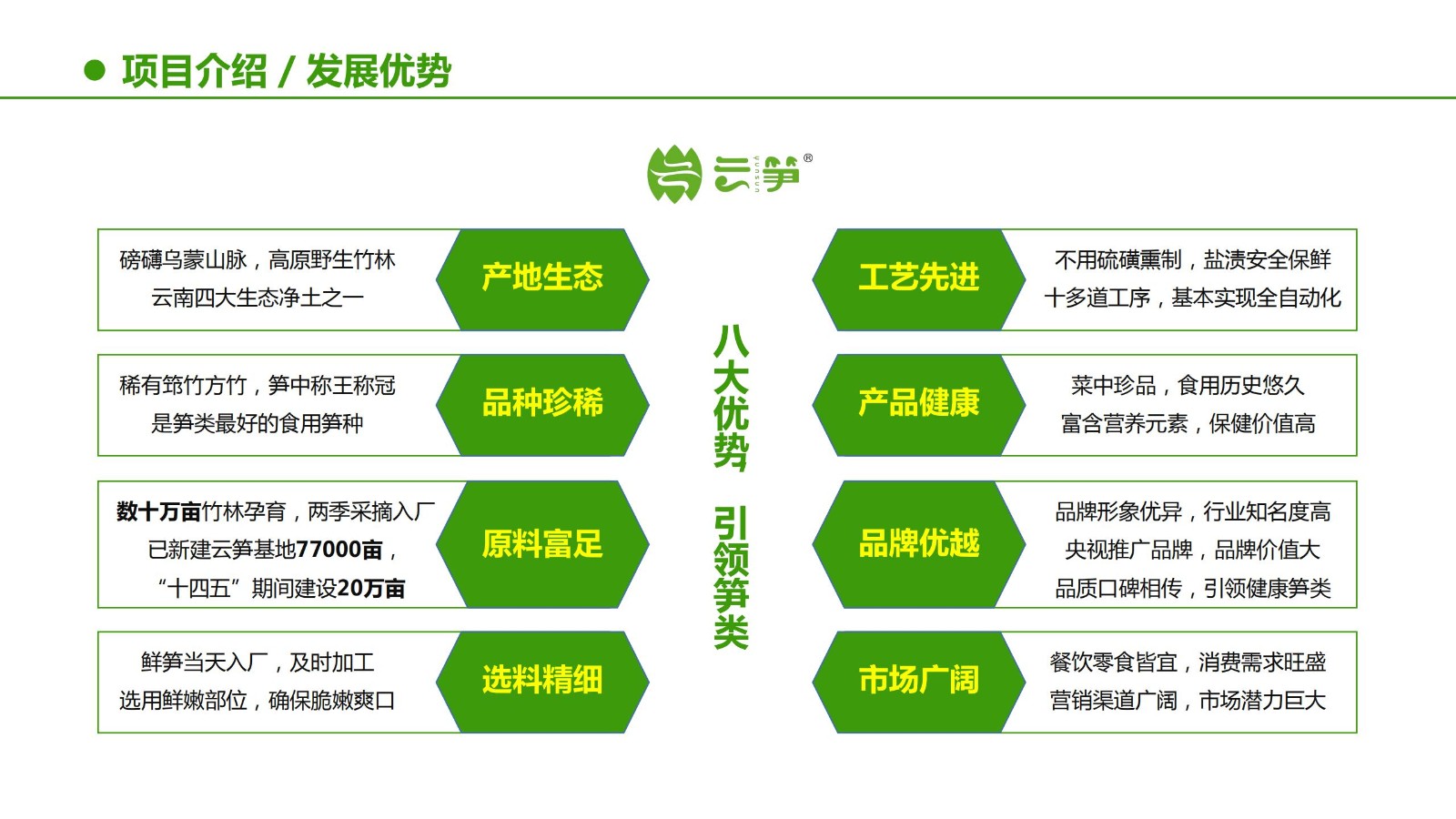 云笋简介20210811_16